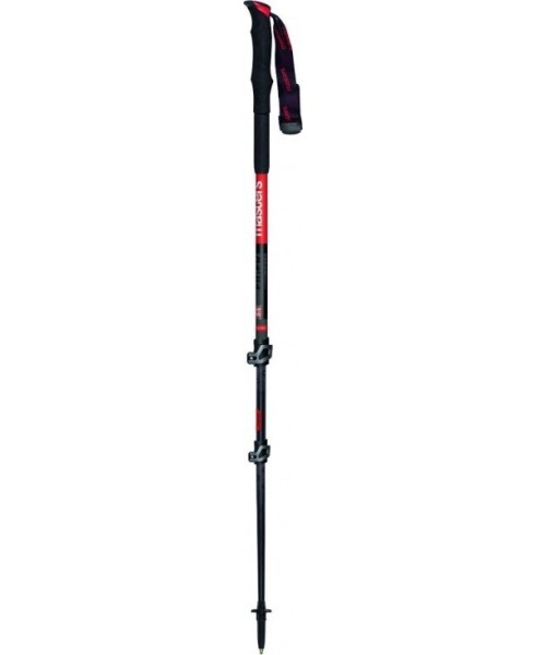 Nordic Walking Poles Masters: Žygių lazdos Masters Eiger Calu