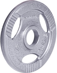 Steel inSPORTline Plates inSPORTline: Plieninis svoris grifui 30mm inSPORTline Hamerton 2.5kg