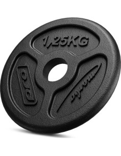 Steel inSPORTline Plates Marbo Sport: Cast Iron Weight Plate Marbo Slim 1,25kg 31mm