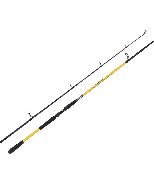 Fishing Rods ZFish: Zfish Rod Kodiak 2,40m/100-250g